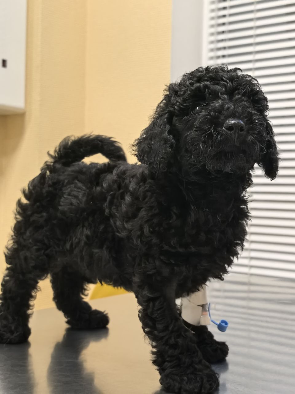 фото в клинике 65