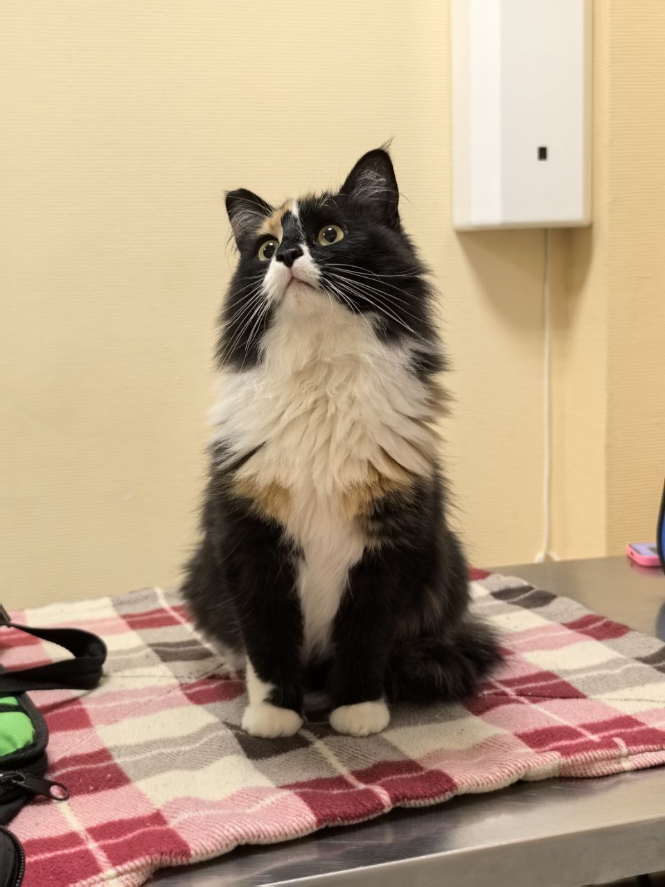 фото в клинике 63