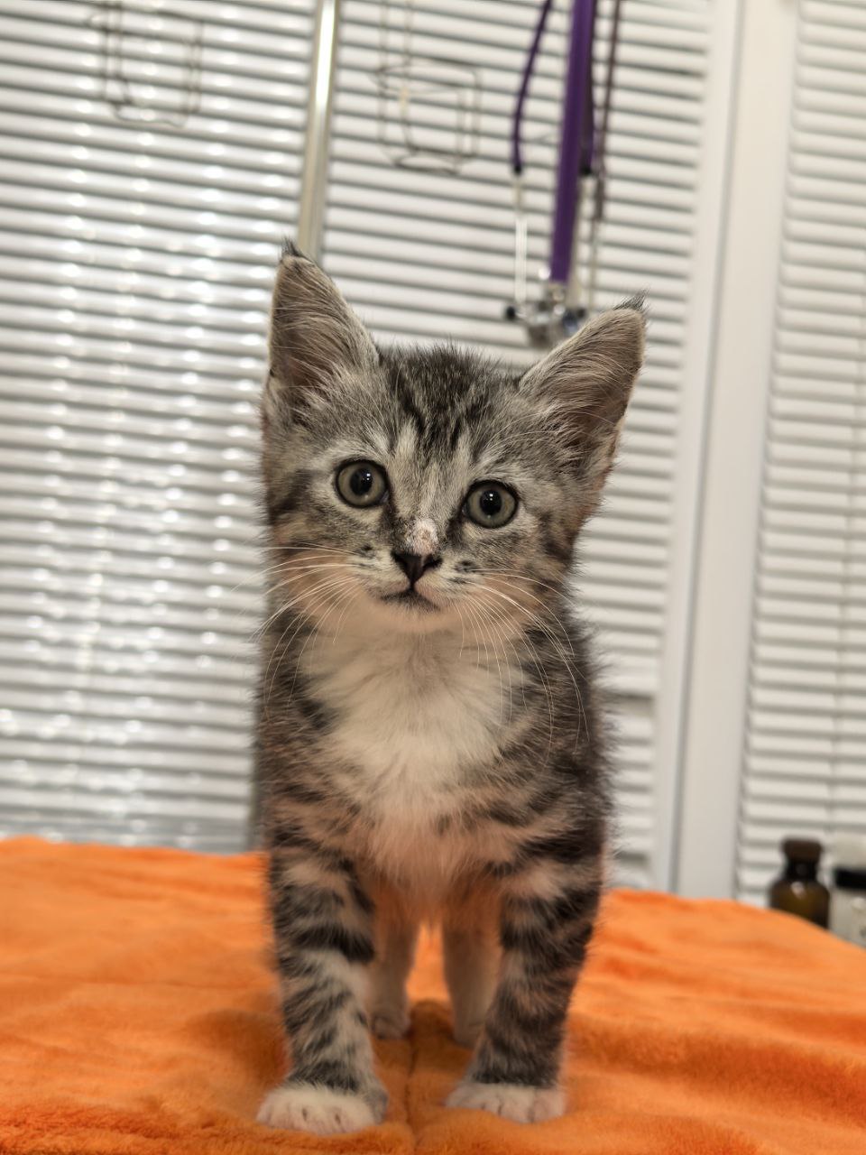 фото в клинике 4