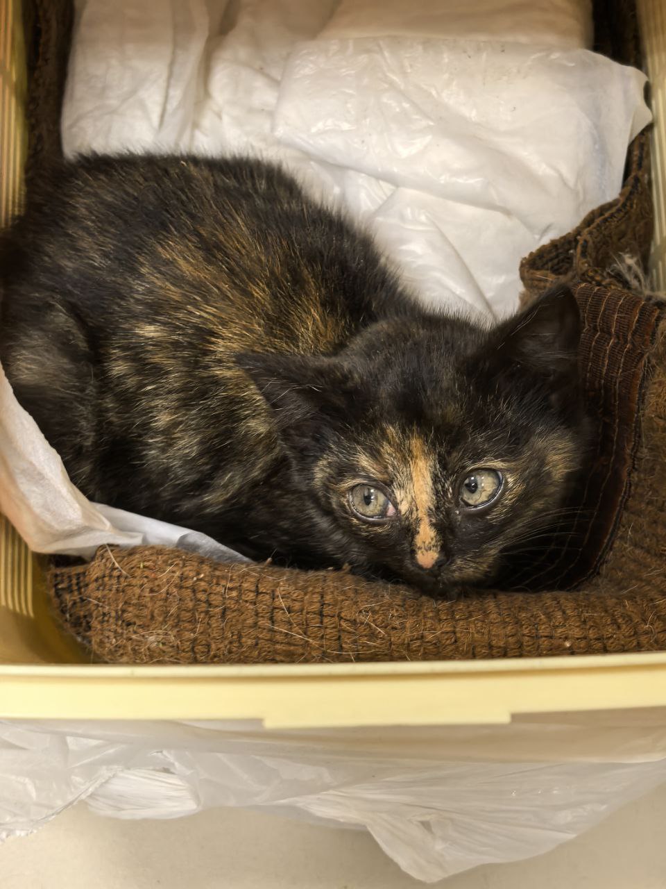 фото в клинике 22