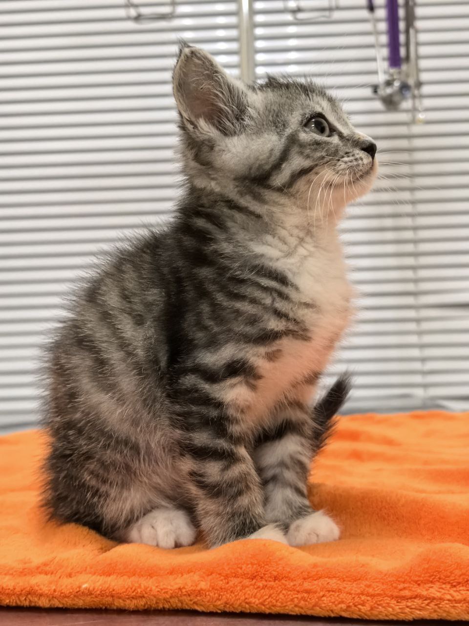 фото в клинике 24